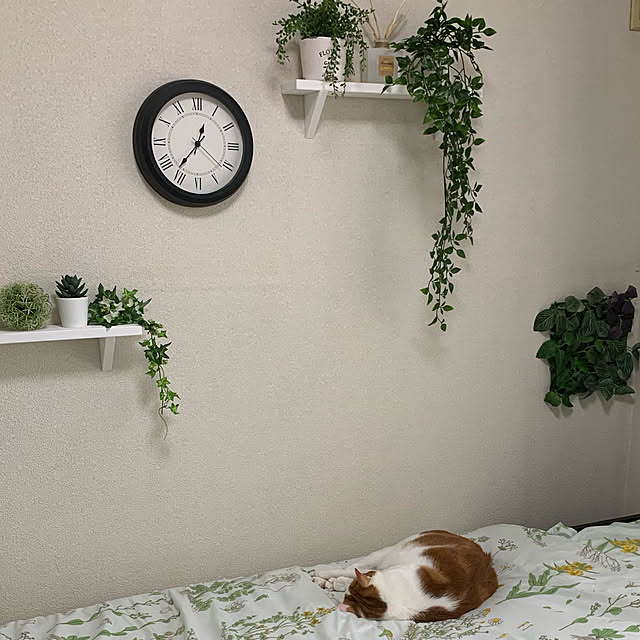 yukameguさんの実例写真