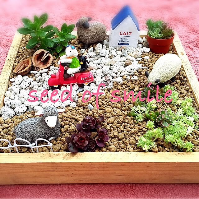 seed.of.smileさんの実例写真