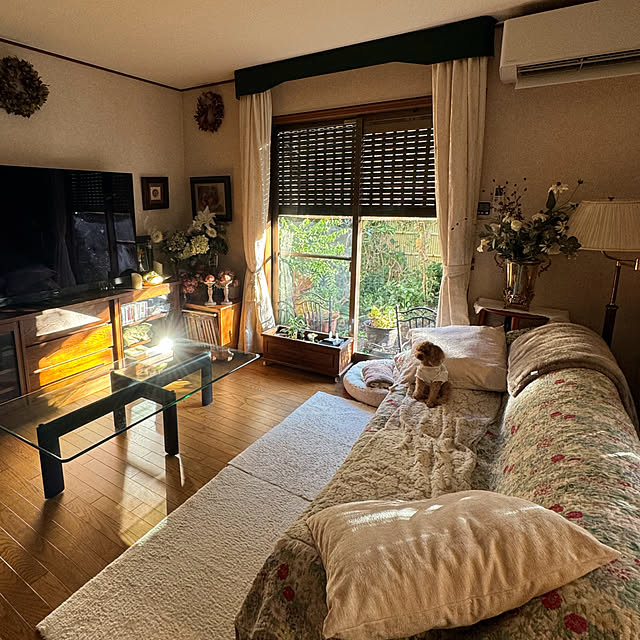 mamizaさんの部屋
