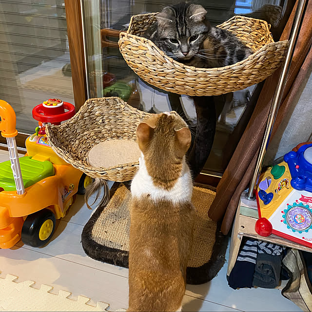 KotarouKunさんの実例写真