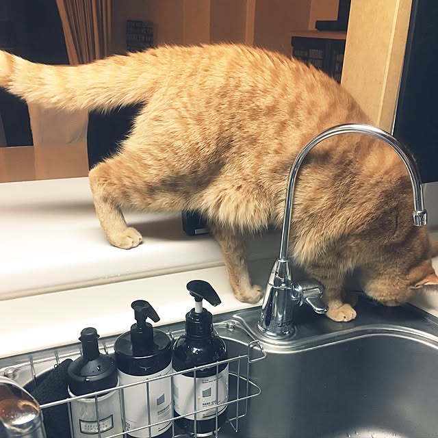 rumiさんの実例写真