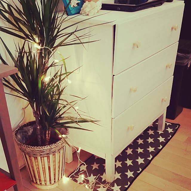 棚/観葉植物/IKEAのインテリア実例 - 2015-03-03 01:26:35