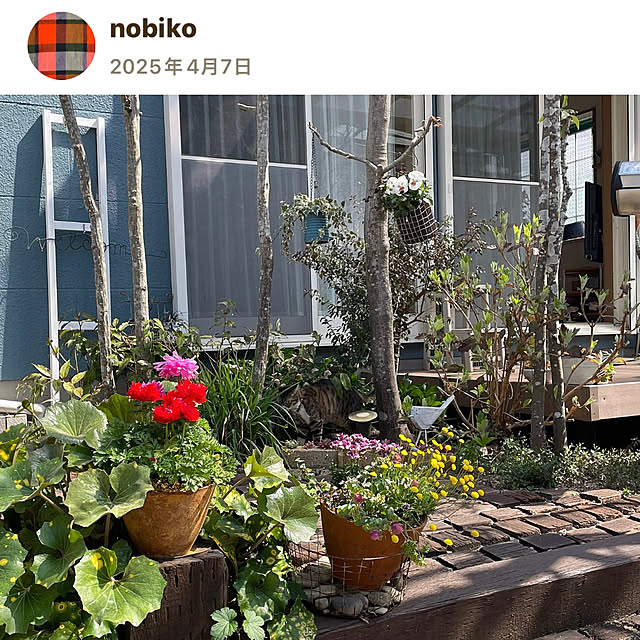 nobikoさんの部屋