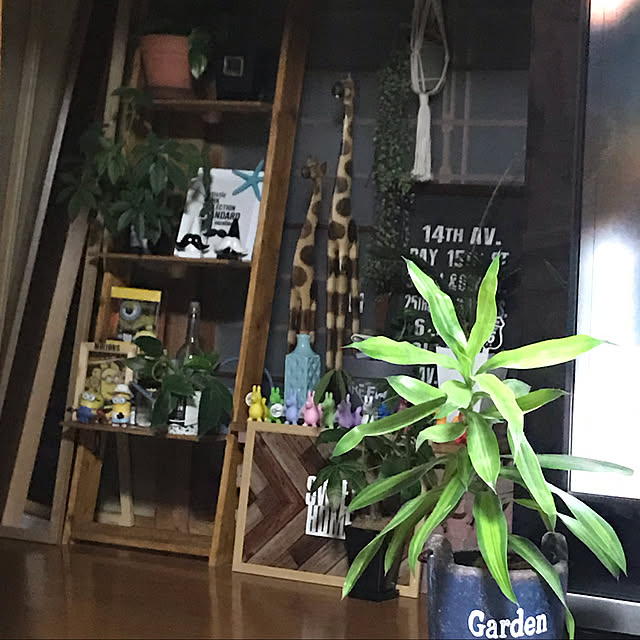 実例写真