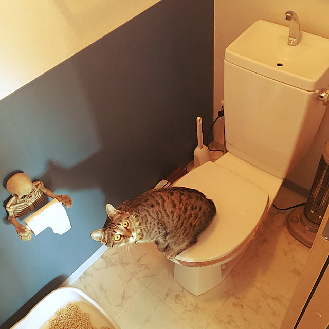Mさんの実例写真