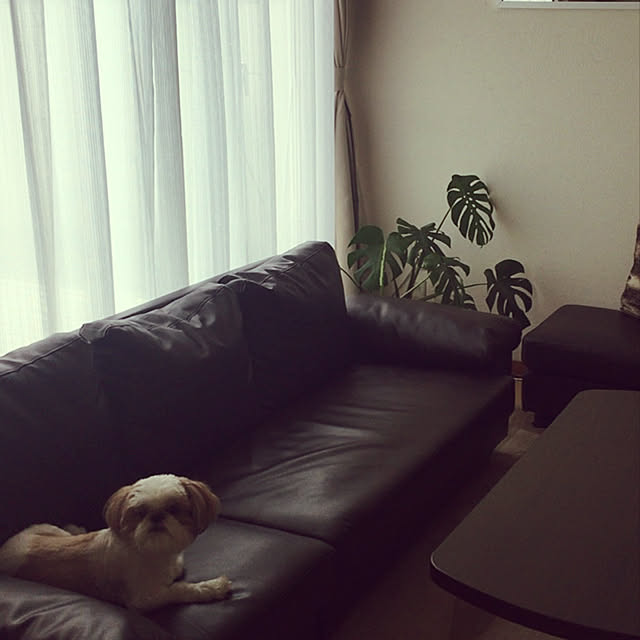 my_homeさんの実例写真
