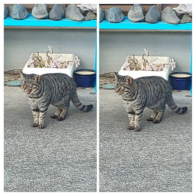 YUKOさんの実例写真