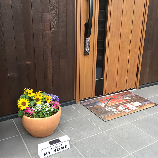 実例写真