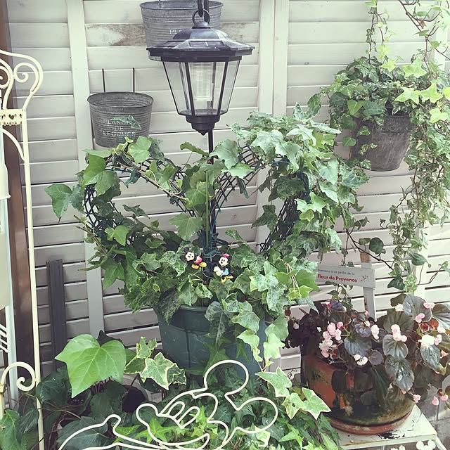 greenroseさんの実例写真