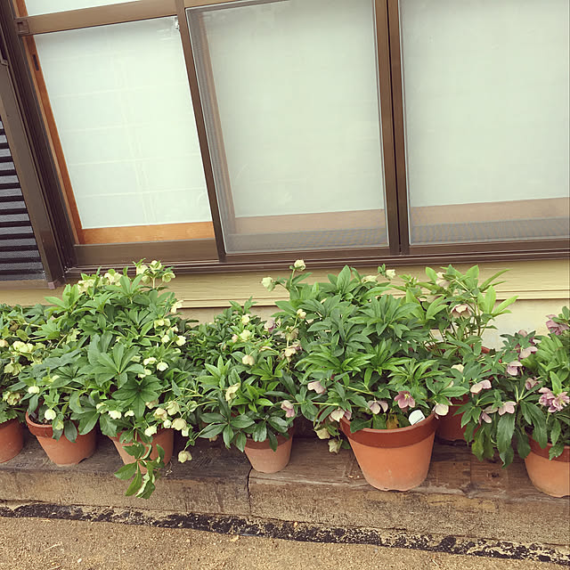 utsukushinosatoさんの実例写真