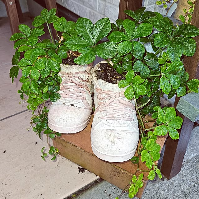 mocomocoさんの部屋