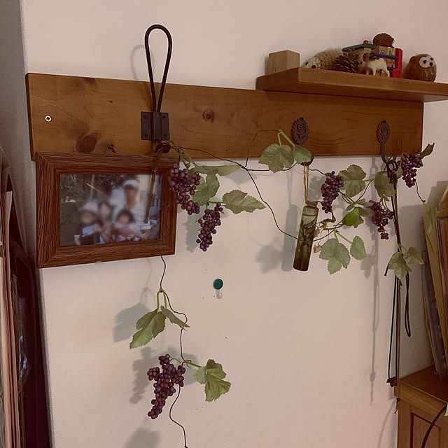 観葉植物/フェイクグリーン/北欧/棚のインテリア実例 - 2020-02-22 20:46:34