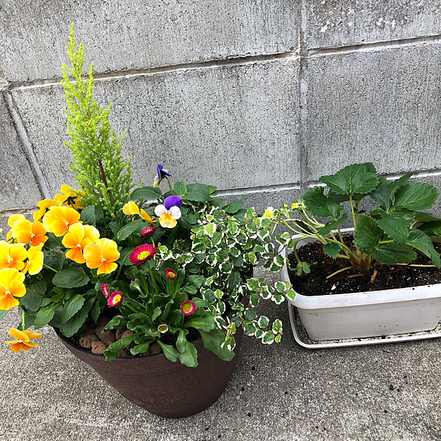 namiさんの実例写真
