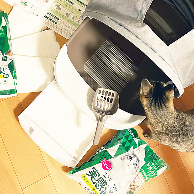 adgjmptwさんの実例写真