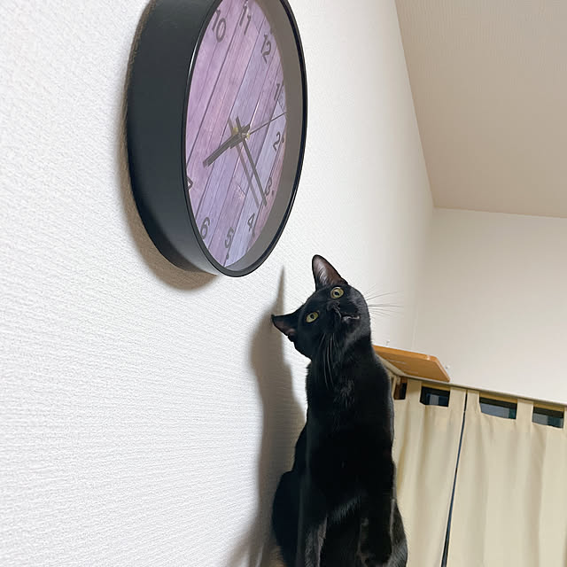 harukaさんの実例写真