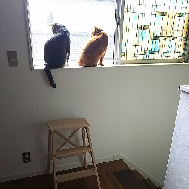 37さんの実例写真