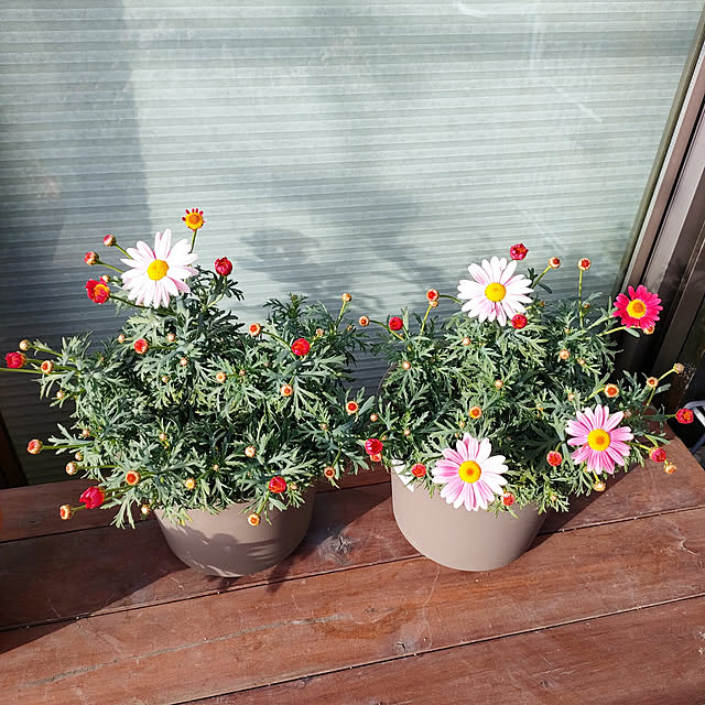 VERANDARJUNさんの実例写真