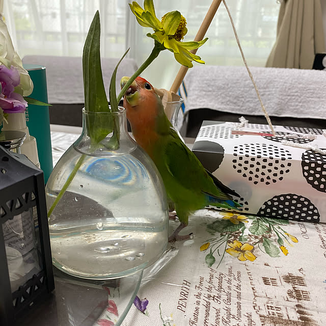 t.and.sakuraさんの実例写真