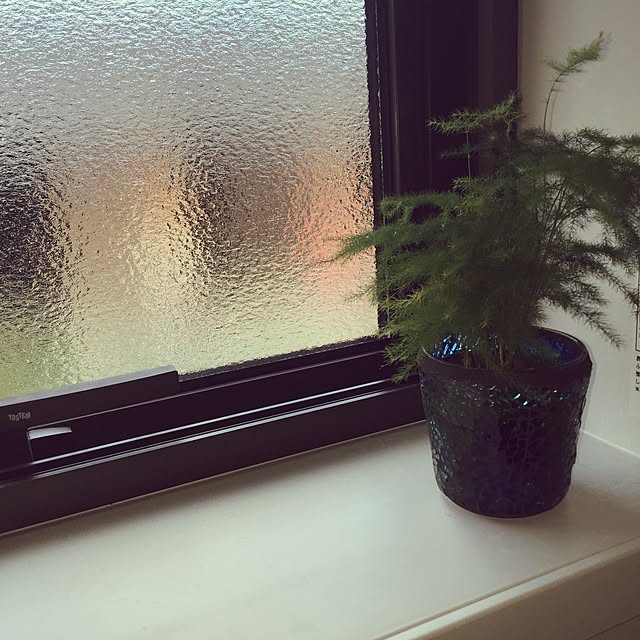 バス/トイレ/観葉植物のインテリア実例 - 2015-02-10 00:23:28