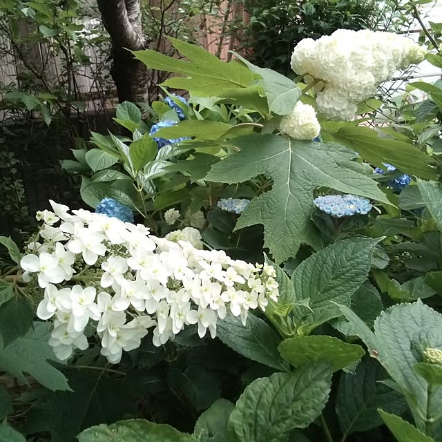 mariagardenさんの部屋