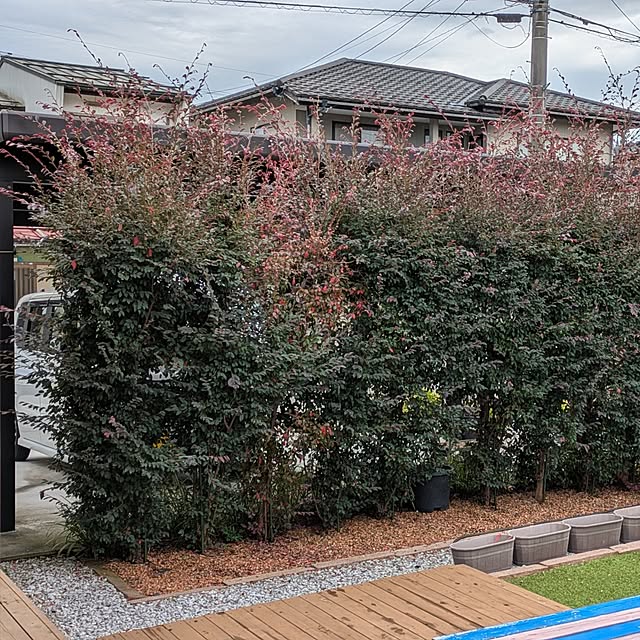 ponhanaさんの実例写真