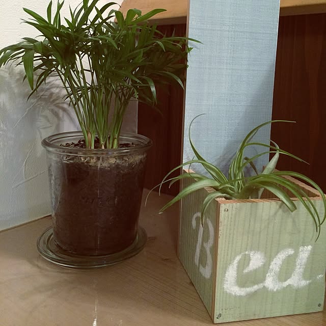 mamaikoさんの実例写真