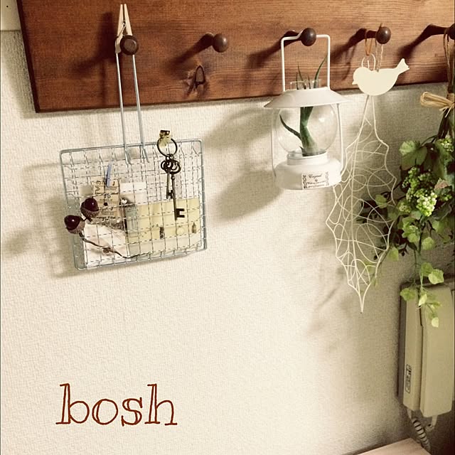 boshさんの実例写真