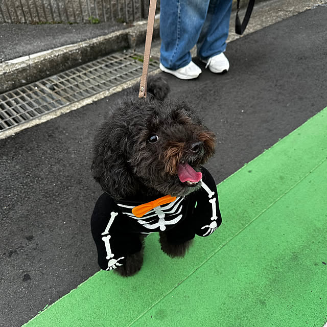 mizucchiさんの部屋
