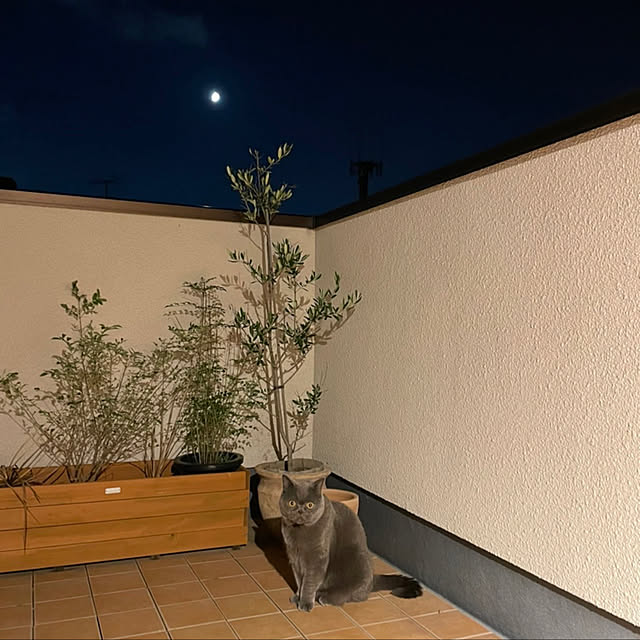 RAMARAMAさんの実例写真