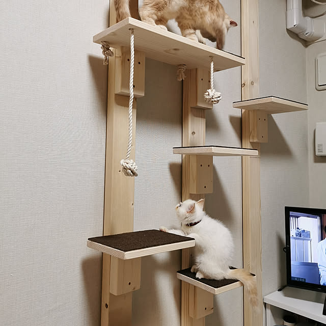 nimさんの実例写真
