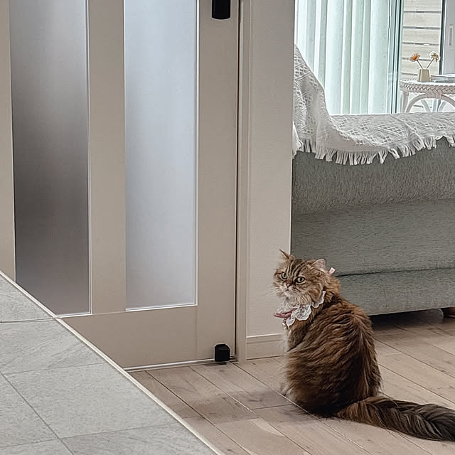 miyu39さんの実例写真