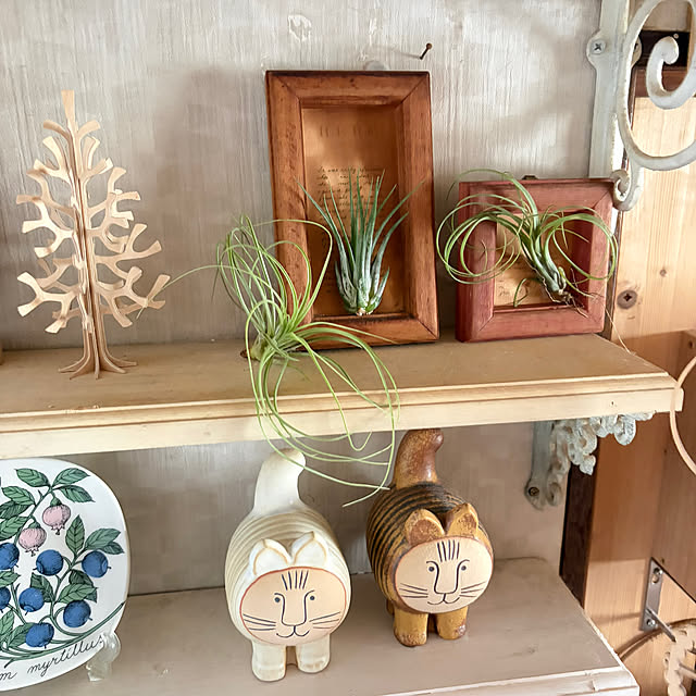 mintteaさんの部屋