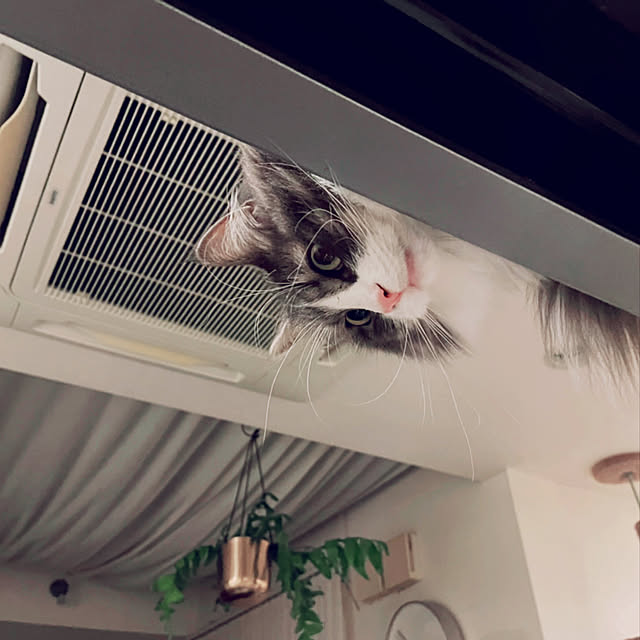 emさんの実例写真