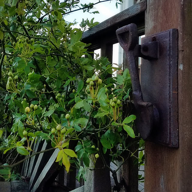 hanaさんの実例写真