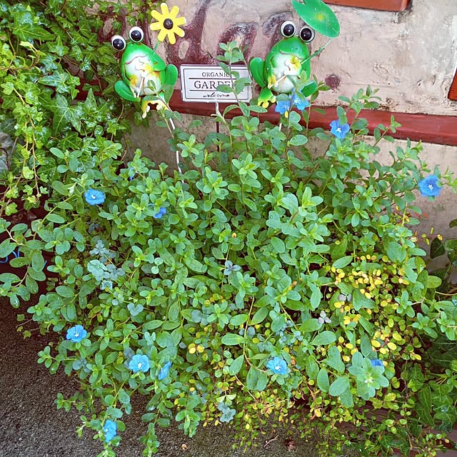 mocomocoさんの実例写真