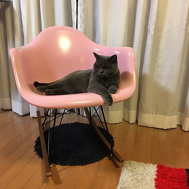 Shojiさんの実例写真