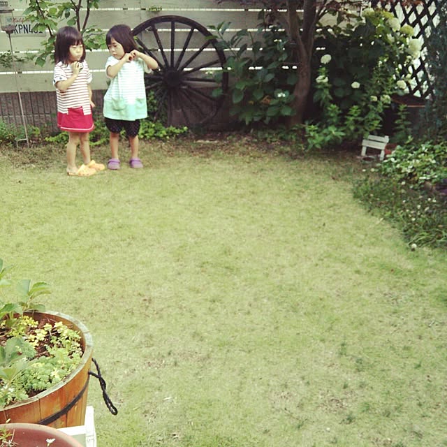 noriさんの実例写真