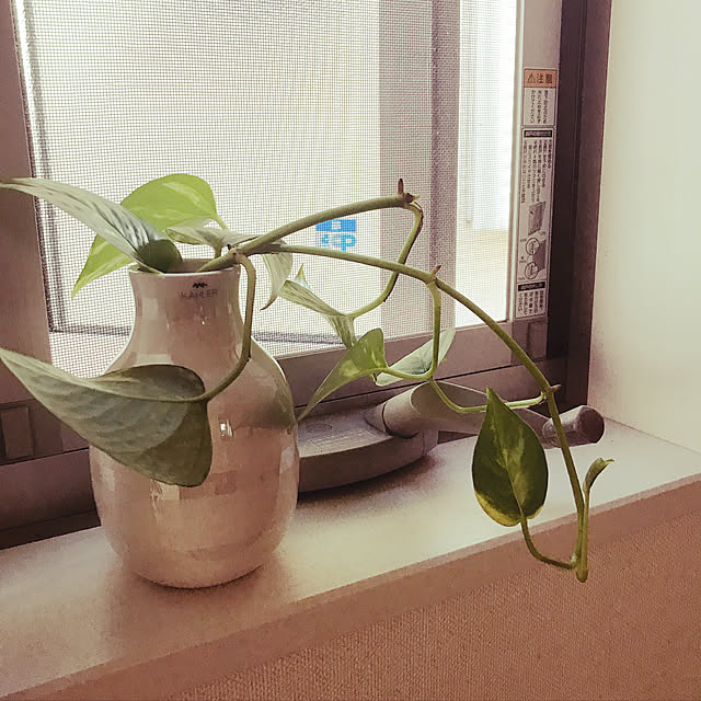 Momooさんの実例写真
