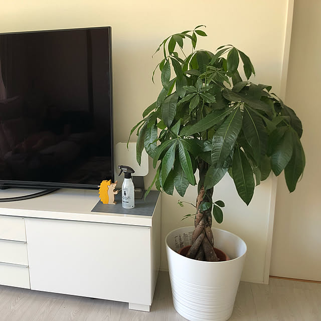 nori.kさんの実例写真