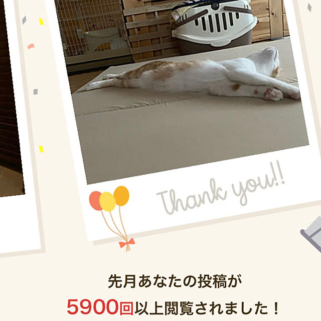 senbei.sakuramochiさんの実例写真