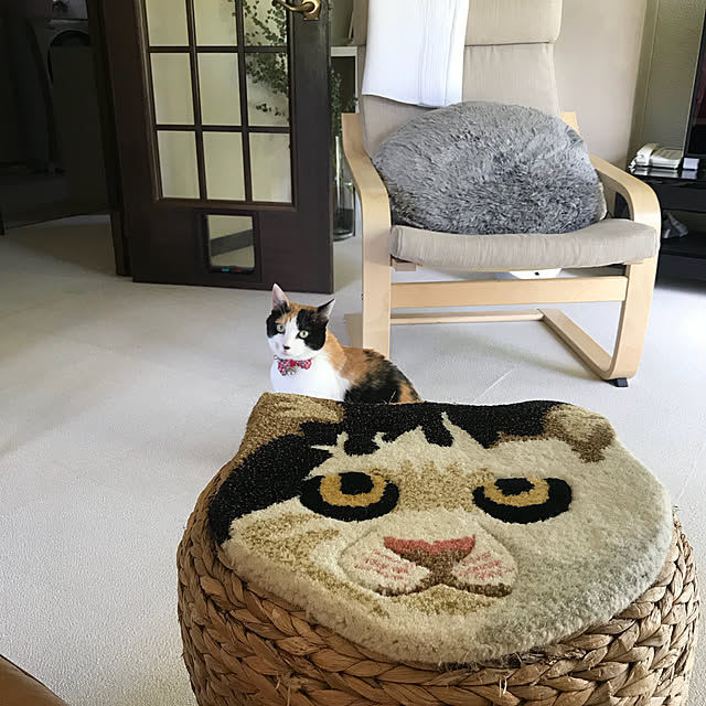 mtkさんの実例写真