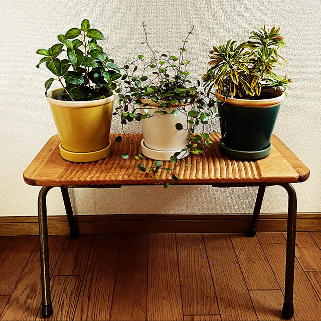 onipotoさんの実例写真