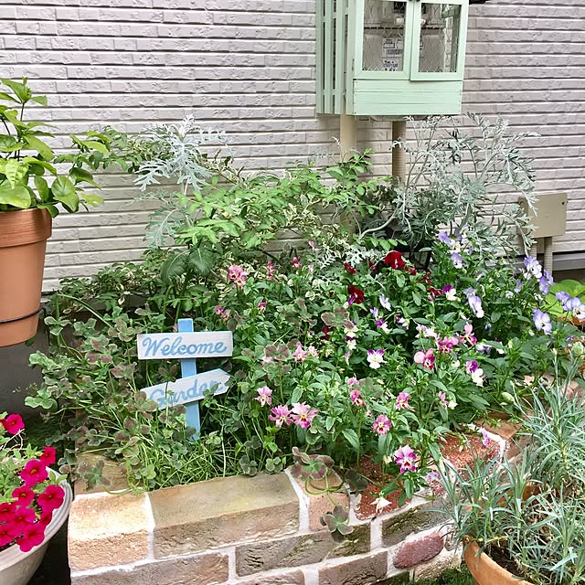suzyさんの実例写真