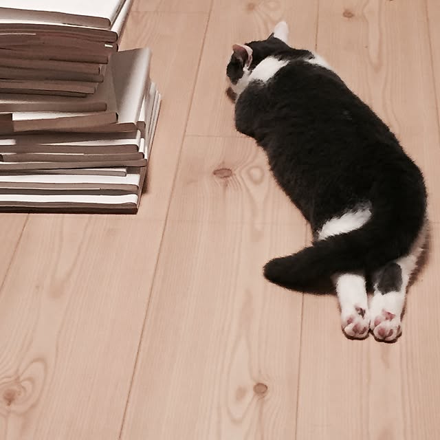 yunさんの実例写真