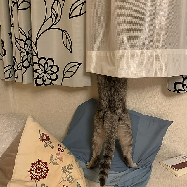 tamausagiさんの実例写真