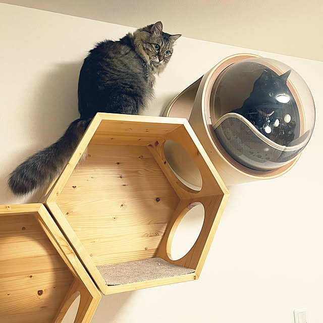 yuki0511さんの実例写真