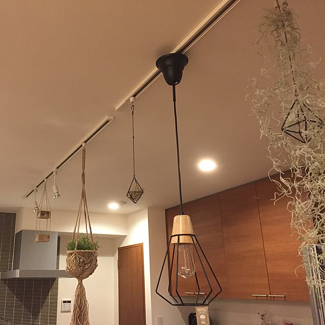 壁/天井/観葉植物/フェイクグリーン/照明/カフェ風...などのインテリア実例 - 2017-04-29 21:33:17