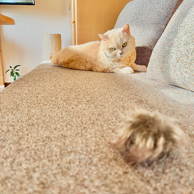 naokoさんの部屋