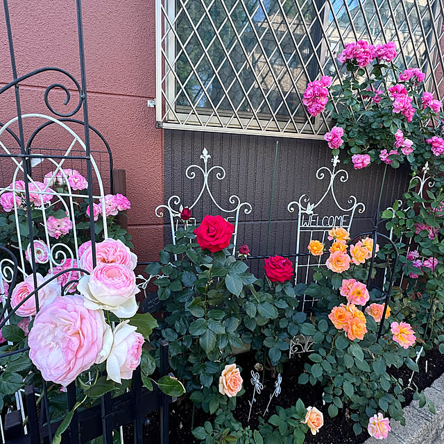 RoseLife5818さんの実例写真