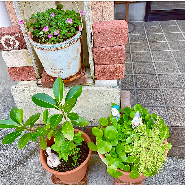 takakoさんの実例写真